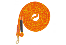 Longe ARGIOPE ACID Ø 12,1 MM Longe + émerillon 4m nue - FTC